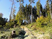  16. Oktober 2011 - noch ein paar Schritte und wir sind bei Samuel